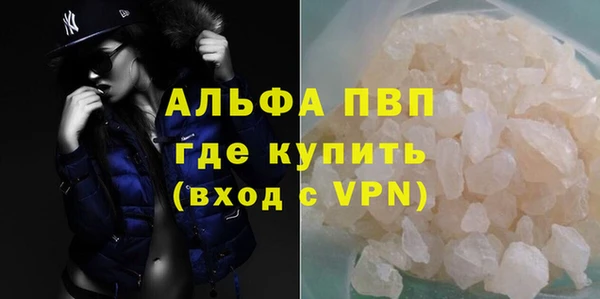 индика Струнино