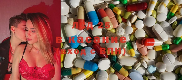 стаф Липки