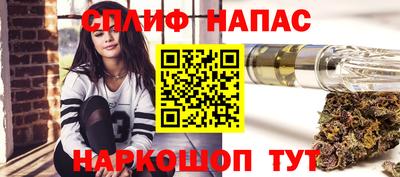 амф Камышлов