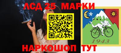 амф Камышлов