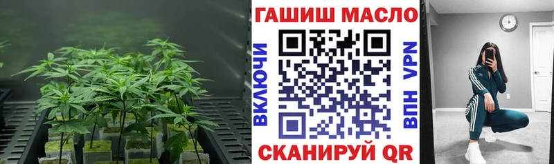 ТГК концентрат Лосино-Петровский