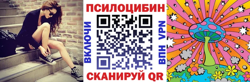 Галлюциногенные грибы мухоморы  купить закладку  Лосино-Петровский 