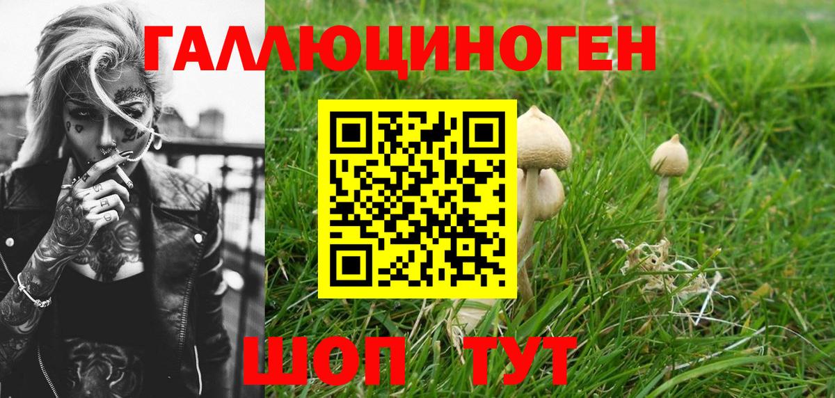 Псилоцибиновые грибы MAGIC MUSHROOMS Лосино-Петровский