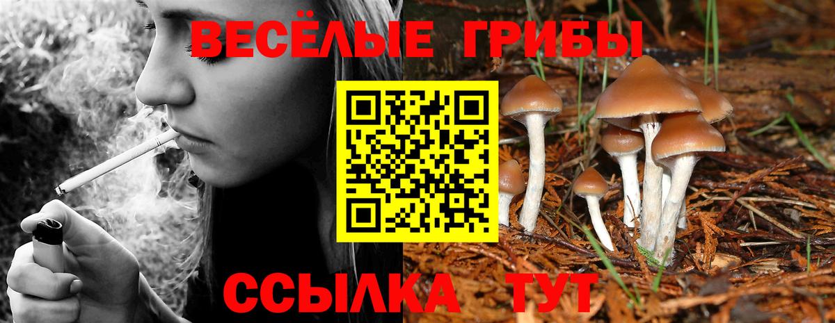 Лосино-Петровский  Псилоцибиновые грибы Psilocybine cubensis  Вход с VPN 