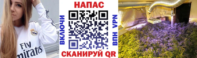 Каннабис тримм  Лосино-Петровский 
